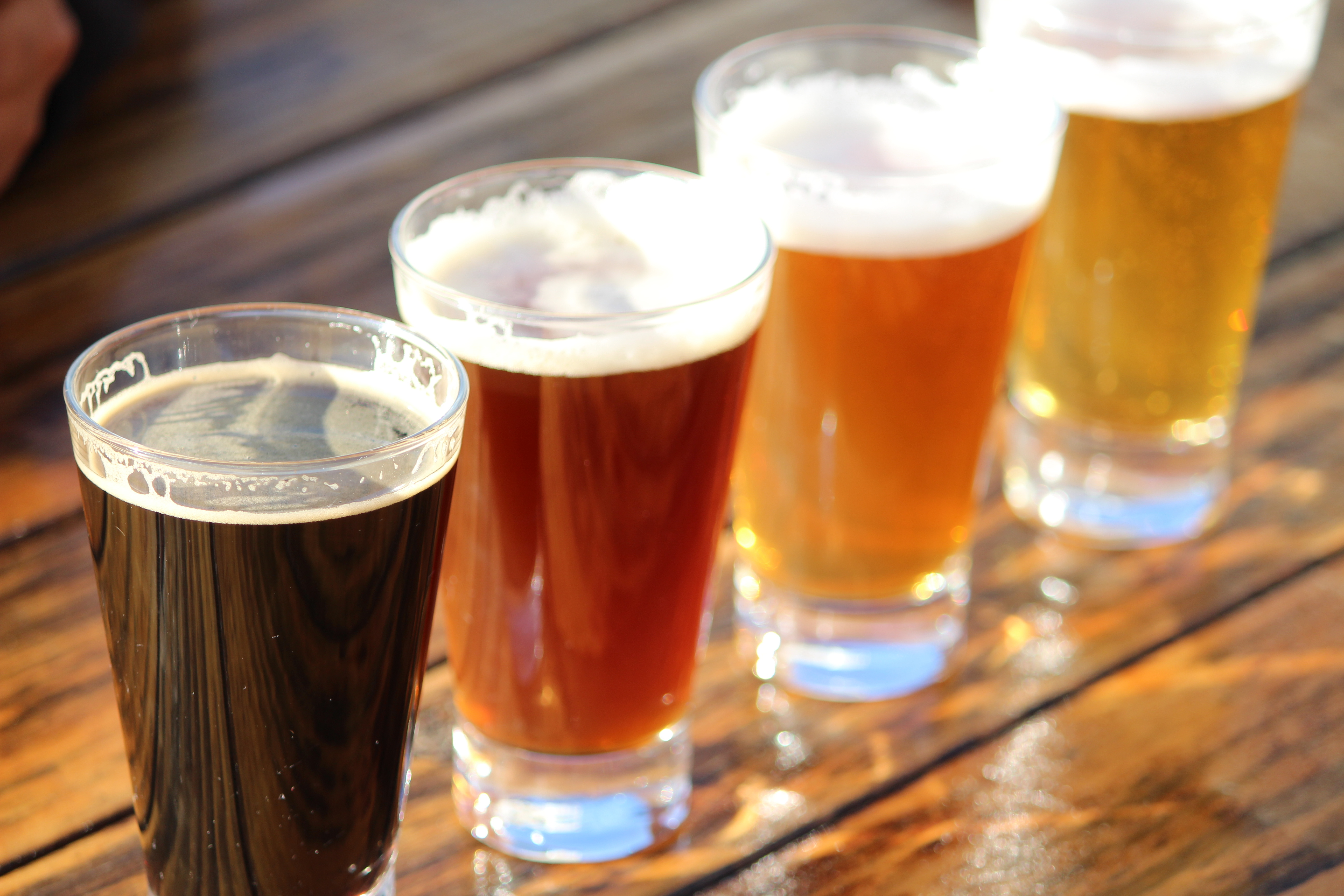 A tasting flight of four beers from dark stout to pale lager.